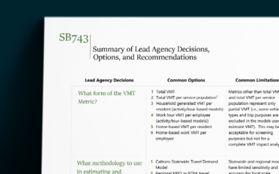 SB 743 Agency Decision Matrix