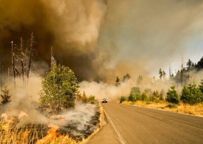 Evacuation Planning & Resilience