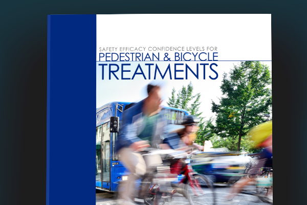 Safety Efficacy Guide