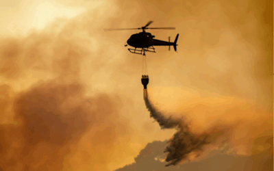 California Courts Raise Bar on Wildfire Evacuation Planning