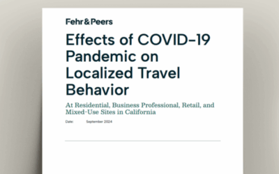 Understanding Post-Pandemic Travel