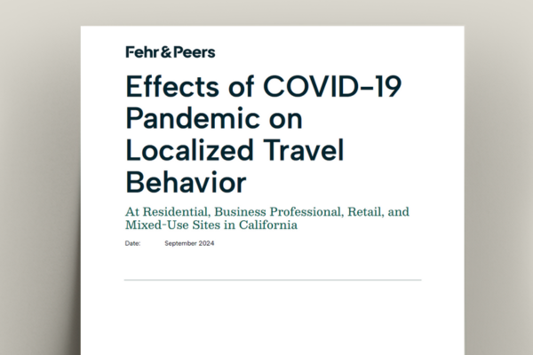 Understanding Post-Pandemic Travel