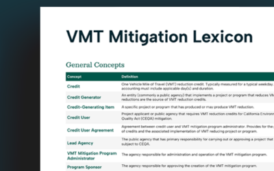 VMT Mitigation Lexicon