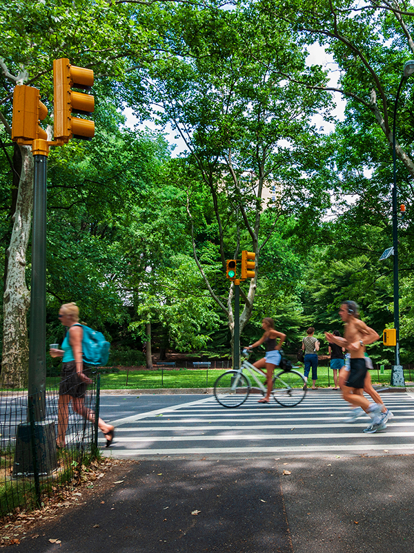 People jogging, biking and walking through crosswalk